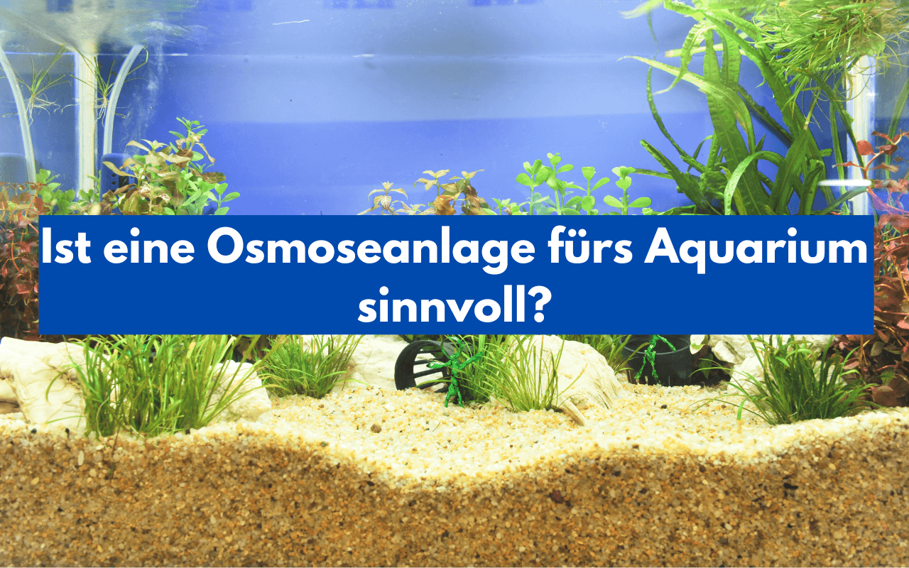 ist eine osmoseanlage fuers aquarium sinnvoll
